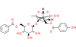 Benzoyloxypaeoniflorin