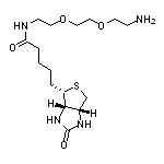 Biotin-PEG2-NH2
