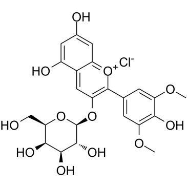 Malvidin-3-Galactoside chloride