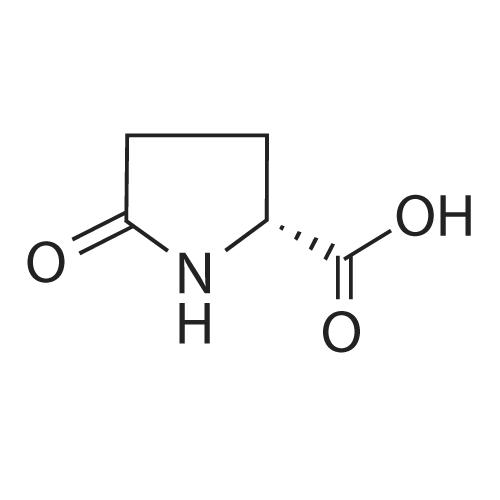D-(+)-Pyroglutamic Acid