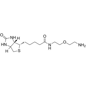 Biotin-PEG1-NH2