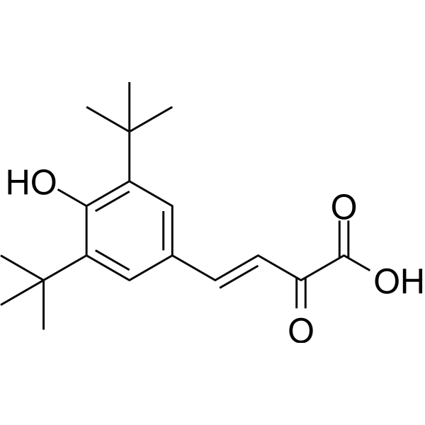 CLH304a