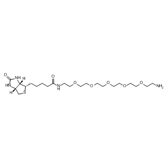 Biotin-PEG5-amine