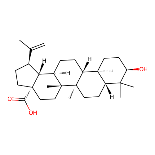 Epibetulinic acid