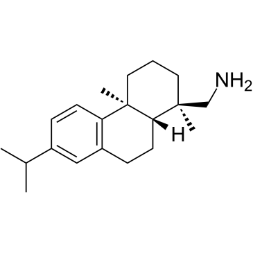 Leelamine