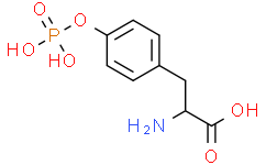 L-Tyrosine-O-phosphoric acid