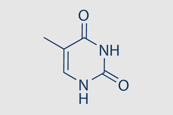 Thymine