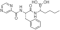 BORTEZOMIB