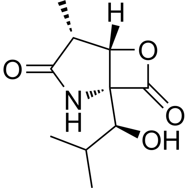 clasto-Lactacystin β-lactone