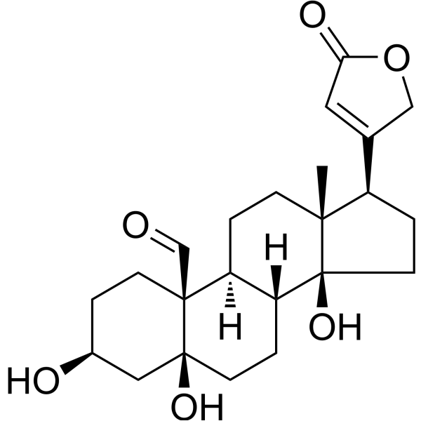 Strophanthidin (Standard)