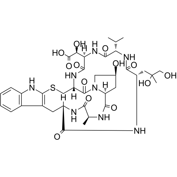 Phallacidin