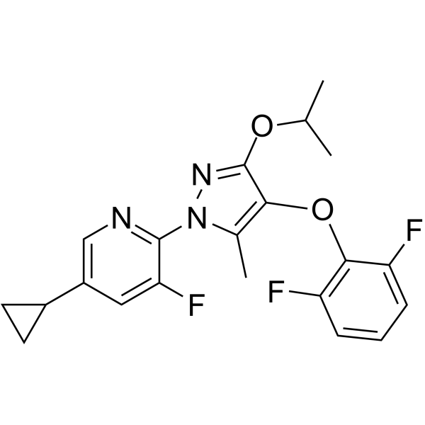 DHODH-IN-1
