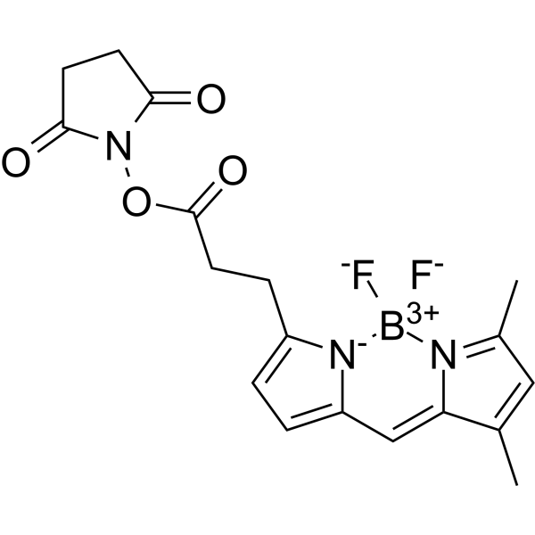 BODIPY-FL NHS ester