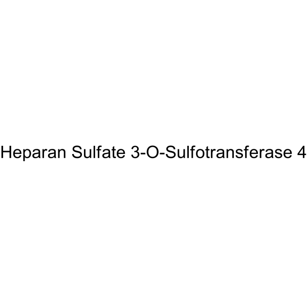 Heparan Sulfate 3-O-Sulfotransferase 4
