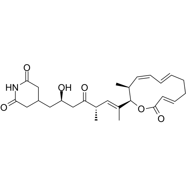 Lactimidomycin