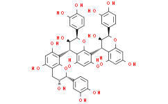 Procyanidol C1