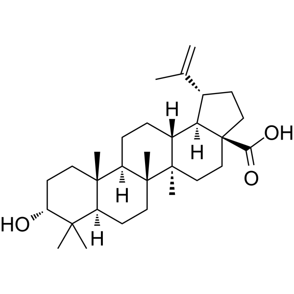 Epibetulinic acid