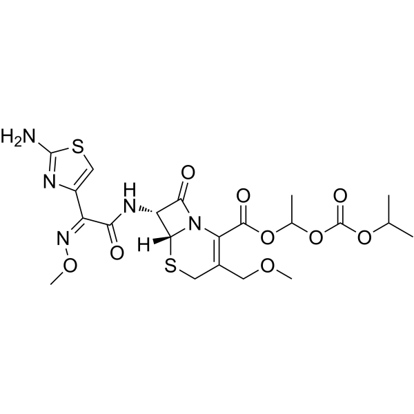 Cefpodoxime Proxetil