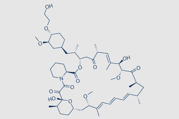 Everolimus (RAD001)