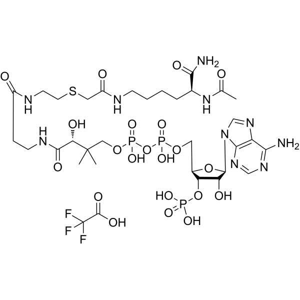 Lys-CoA TFA