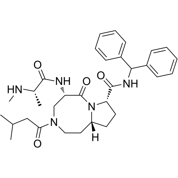 Xevinapant