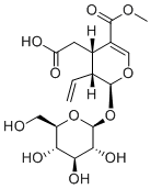 Secoxyloganin