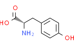 L-Tyrosine