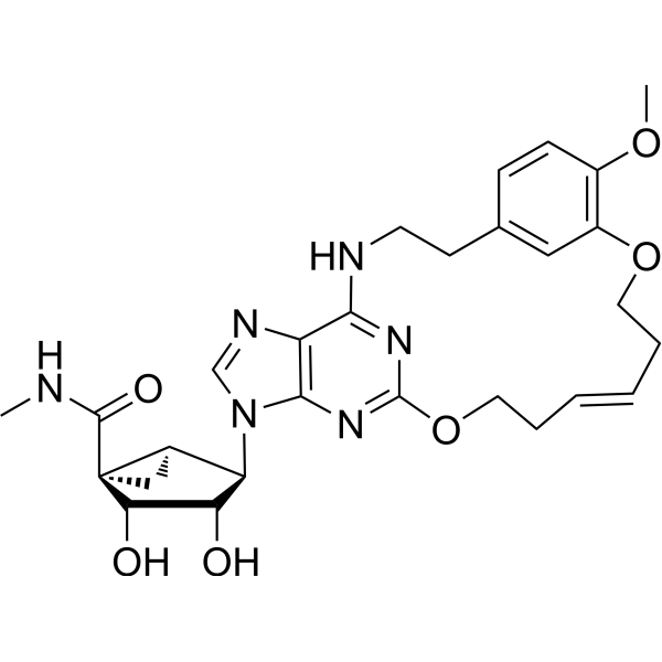 A3AR agonist 1