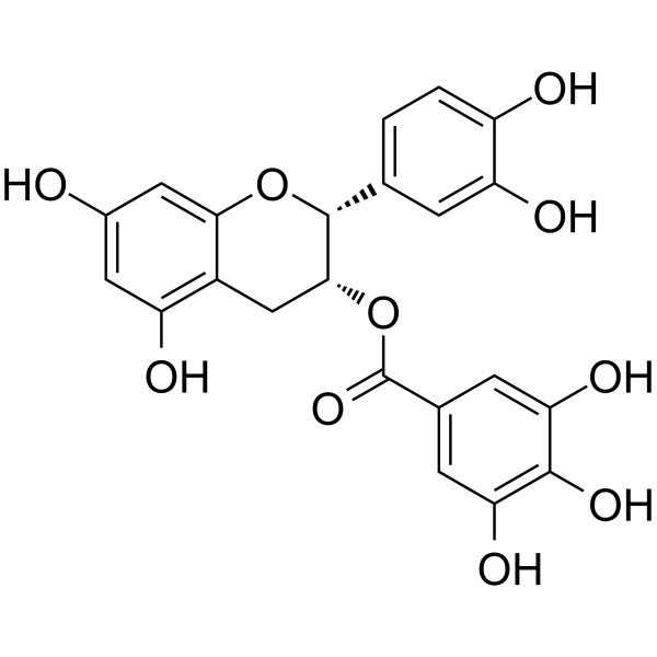 (-)-Epicatechin gallate