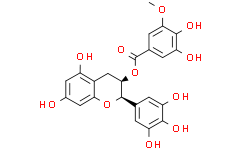 (-)-EGCG-3''-O-Me