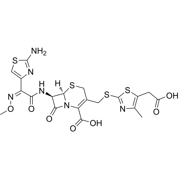 Cefodizime