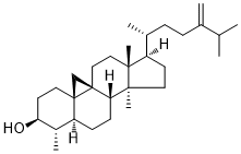 Cycloeucalenol