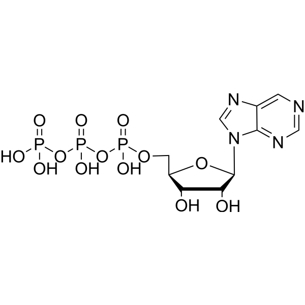 Purine riboside triphosphate