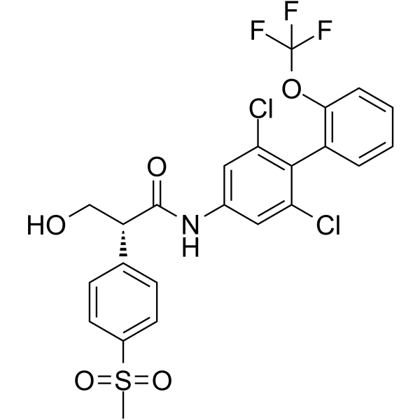 RORγt inverse agonist 28