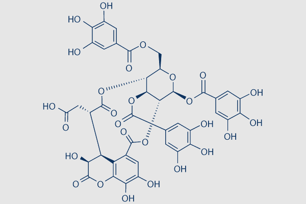 Chebulinic acid