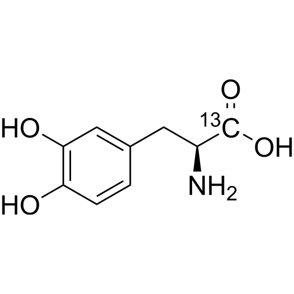 L-DOPA-
       
        13
       
       C