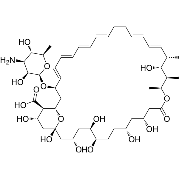 Amphotericin A