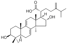 Dehydrotumulosic acid