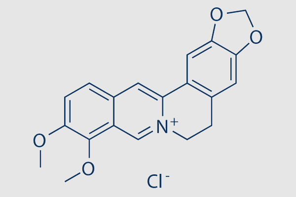 Berberine chloride (NSC 646666)