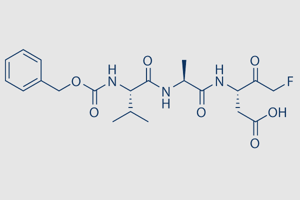 Z-VAD(OH)-FMK (Caspase Inhibitor VI)