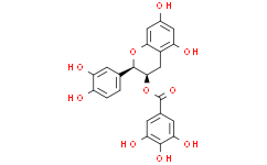 Epicatechin gallate