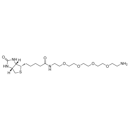 Biotin-PEG4-amine