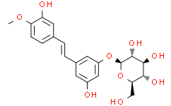 Rhapontin