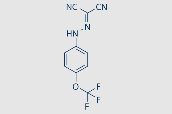 FCCP