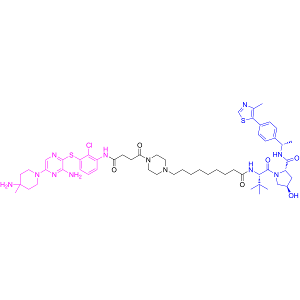 SHP2-D26
