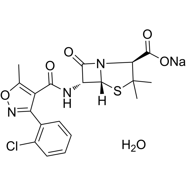 Cloxacillinsodiummonohydrate