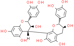 Procyanidin B3