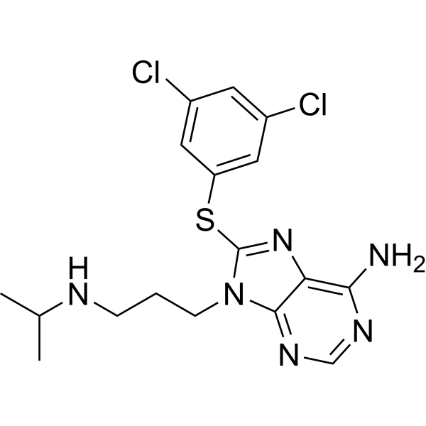 PU-WS13