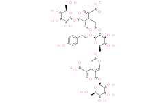 Oleonuezhenide