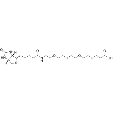 Biotin-PEG4-acid